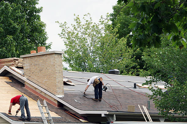 Best Roof Moss and Algae Removal  in Vinton, VA