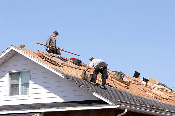 Best Storm Damage Roof Repair  in Vinton, VA